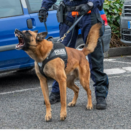 Forces de l'ordre / Police Municipale